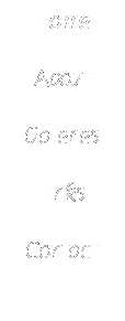 Text Box: Home
About
Galleries
Links
Contact